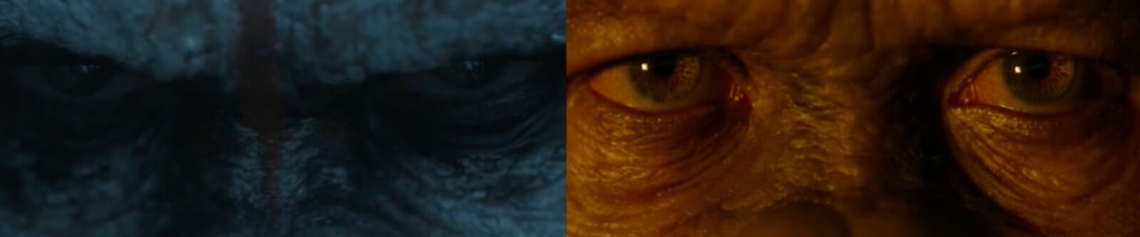 How To Create Striking First and Final Frames in Your Film - Dawn of the Planet of the Apes