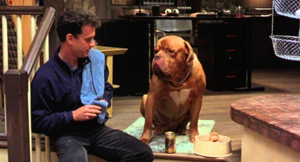 Script Coverage - Hooch - StudioBinder Script Coverage - Hooch - StudioBinder