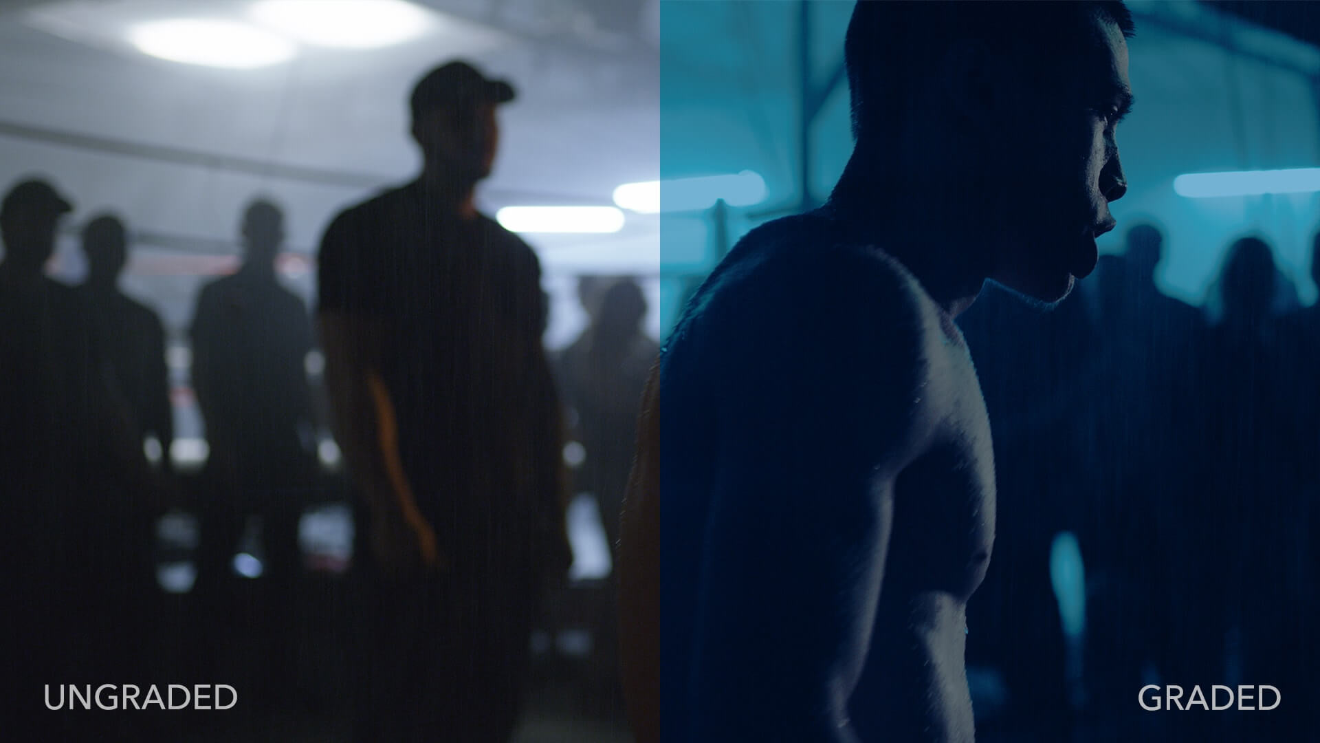 Blade Runner - Free LUT Pack Download - StudioBinder Blade Runner - Free LUT Pack Download - StudioBinder