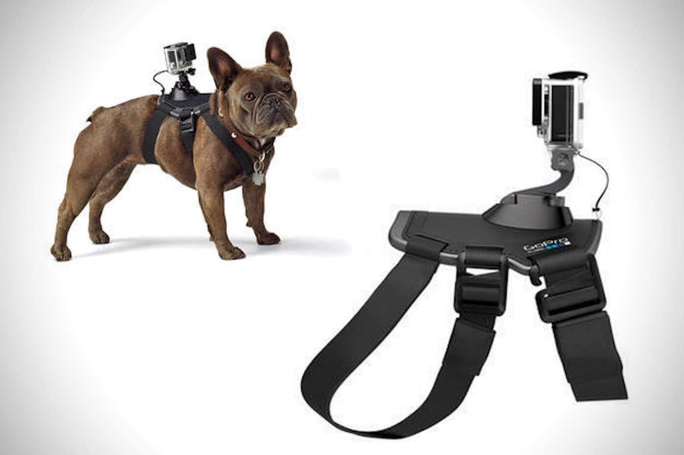 How to make the best GoPro videos for your Brand - Meet your new cinematographer How to make the best GoPro videos for your Brand - Meet your new cinematographer