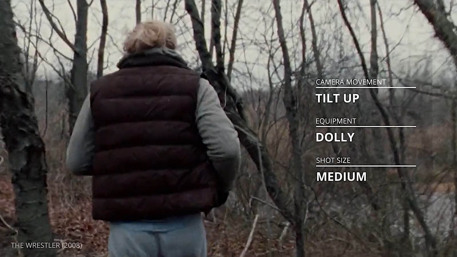 Darren Aronofsky Movies - The Wrestler Darren Aronofsky Movies - The Wrestler