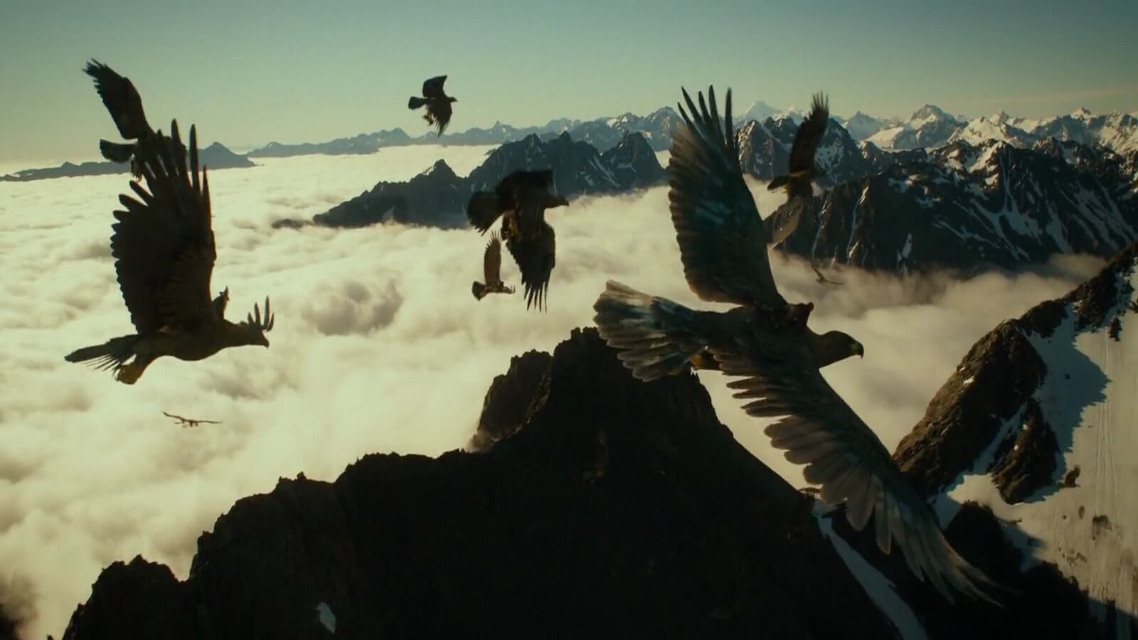 The Hero’s Journey - 17 Steps to Craft the Perfect Screenplay - Birds The Hero’s Journey - 17 Steps to Craft the Perfect Screenplay - Birds