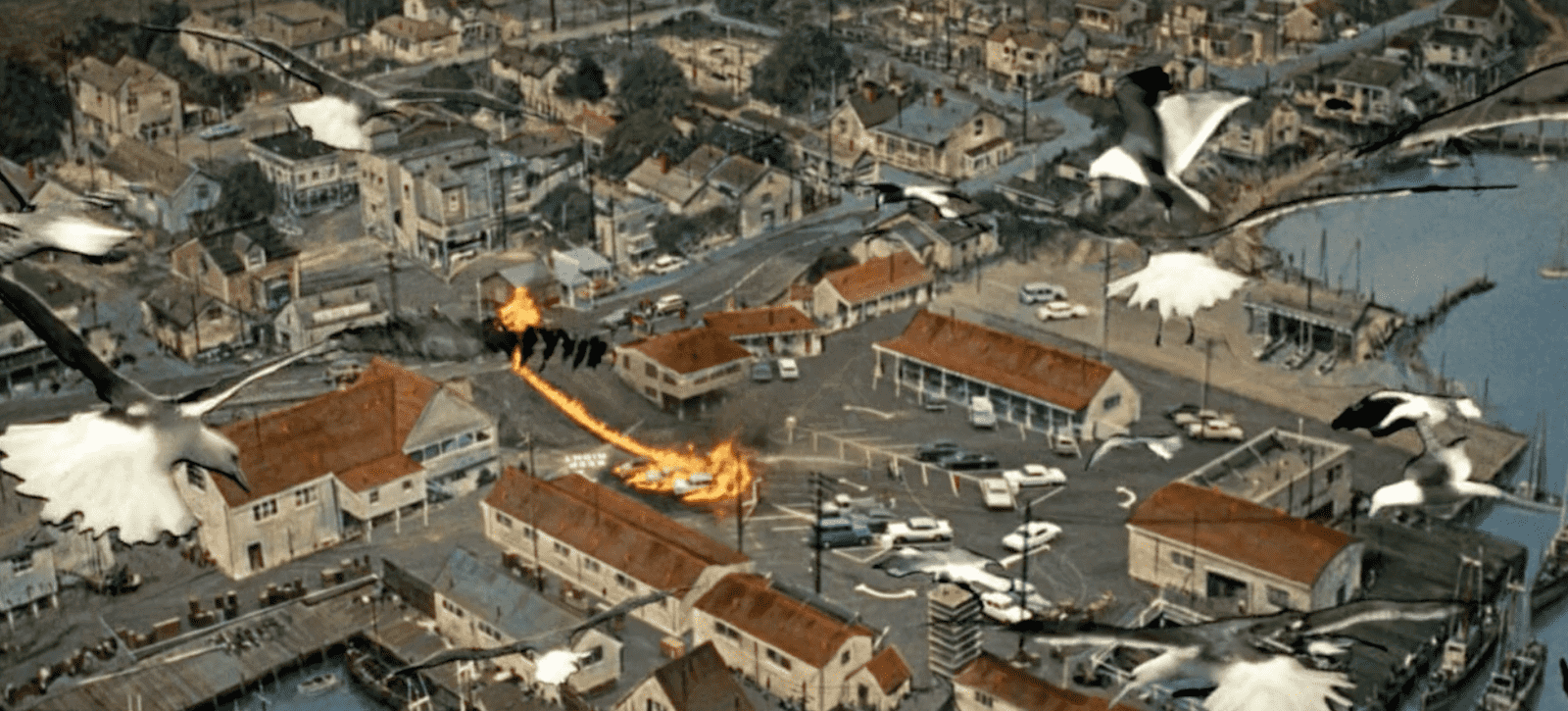 Aerial Shot - Camera angles - The Birds eye view Aerial Shot - Camera angles - The Birds eye view